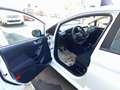 Ford Fiesta 1.5 EcoBlue 5p. Business Blanc - thumbnail 12