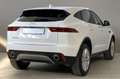 Jaguar E-Pace JAGUAR E-Pace 2.0D 150 CV AWD aut. Bianco - thumbnail 7