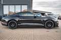 Ford Mustang 2,3 Premium Gt 500 Shelby RECARO Nero - thumbnail 12