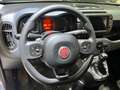 Fiat Panda 1.0 FireFly S&S Hybrid City Cross Grigio - thumbnail 10