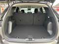 Ford Kuga 1,5 EcoBoost Titanium 5-Türer 6-Gang Schaltgetr... Grau - thumbnail 23