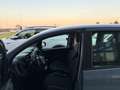 Fiat Panda 1.2 GPL  ANCHE PER NEOPATENTATI Grigio - thumbnail 11