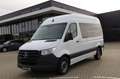 Mercedes-Benz Sprinter 317 CDI Tourer Standard L2H2 Hoch 3665 Weiß - thumbnail 2