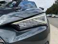 SEAT Tarraco 2.0TDI S&S Xcellence DSG-7 150 Verde - thumbnail 8