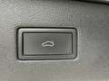 SEAT Tarraco 2.0TDI S&S Xcellence DSG-7 150 Verde - thumbnail 31