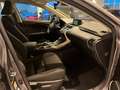 Lexus NX 300 HYBRID 4WD BUSINESS 155CV Grau - thumbnail 15