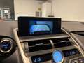 Lexus NX 300 HYBRID 4WD BUSINESS 155CV Grey - thumbnail 10
