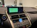 Lexus NX 300 HYBRID 4WD BUSINESS 155CV Grijs - thumbnail 9