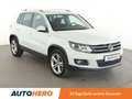 Volkswagen Tiguan 1.4 TSI Lounge Sport & Style BMT*BI-XENON*PDC*SHZ* Weiß - thumbnail 8