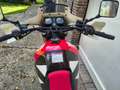 Suzuki DR 650 Dakar Rot - thumbnail 8