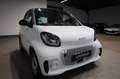 smart forTwo fortwo coupe electric drive / EQ White - thumbnail 4