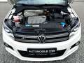 Volkswagen Tiguan 2.0 TDI DSG 4Motion/3X R LINE/PANO/KAMERA Weiß - thumbnail 16