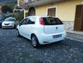 Fiat Punto Punto 5p 1.3 mjt 85CV 16v Street Bianco - thumbnail 6