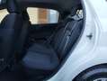 Fiat Punto Punto 5p 1.3 mjt 85CV 16v Street Bianco - thumbnail 13