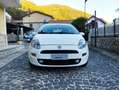 Fiat Punto Punto 5p 1.3 mjt 85CV 16v Street Bianco - thumbnail 3