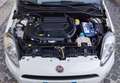 Fiat Punto Punto 5p 1.3 mjt 85CV 16v Street Bianco - thumbnail 15