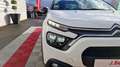 Citroen C3 BUSINESS bluehdi 100 ss bvm6 feel Blanc - thumbnail 4