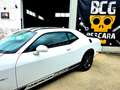Dodge Challenger Challenger 3.6 V6 GT Weiß - thumbnail 14