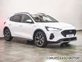 Ford Focus 1.0 Ecoboost MHEV Active 125 Gris - thumbnail 4
