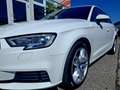 Audi A3 SB 30 TDI Weiß - thumbnail 13