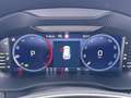 Skoda Kodiaq 2.0 TDI 4x4 Style Aut MATRIX AHK RADAR Schwarz - thumbnail 21