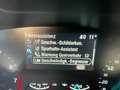 Ford Focus Titanium-Hybrid-Kamera-Top-Unfallfrei Blau - thumbnail 20