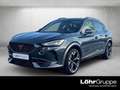 CUPRA Formentor 2.0 TSI 4Drive DSG VZ Grau - thumbnail 1