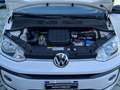 Volkswagen up! 5p 1.0 Move 60cv ASG AUTOMAT. Ok per neopatentati Bianco - thumbnail 15