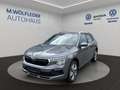 Skoda Kamiq TSI Sondermodell ''DRIVE'' Grau - thumbnail 1