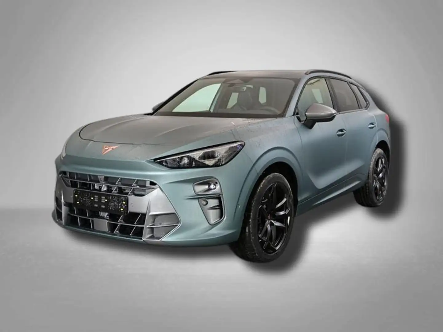 CUPRA Terramar America`s CUP Limited Edition 2.0 TSI 195 kW (2... Grau - 1