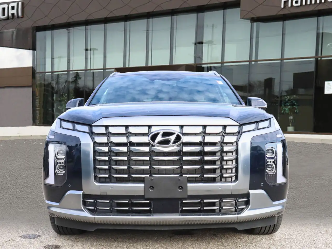 Hyundai PALISADE photo Hyundai PALISADE