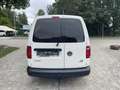 Volkswagen Caddy 1.6TDI 75kW BMT Maxi Weiß - thumbnail 7