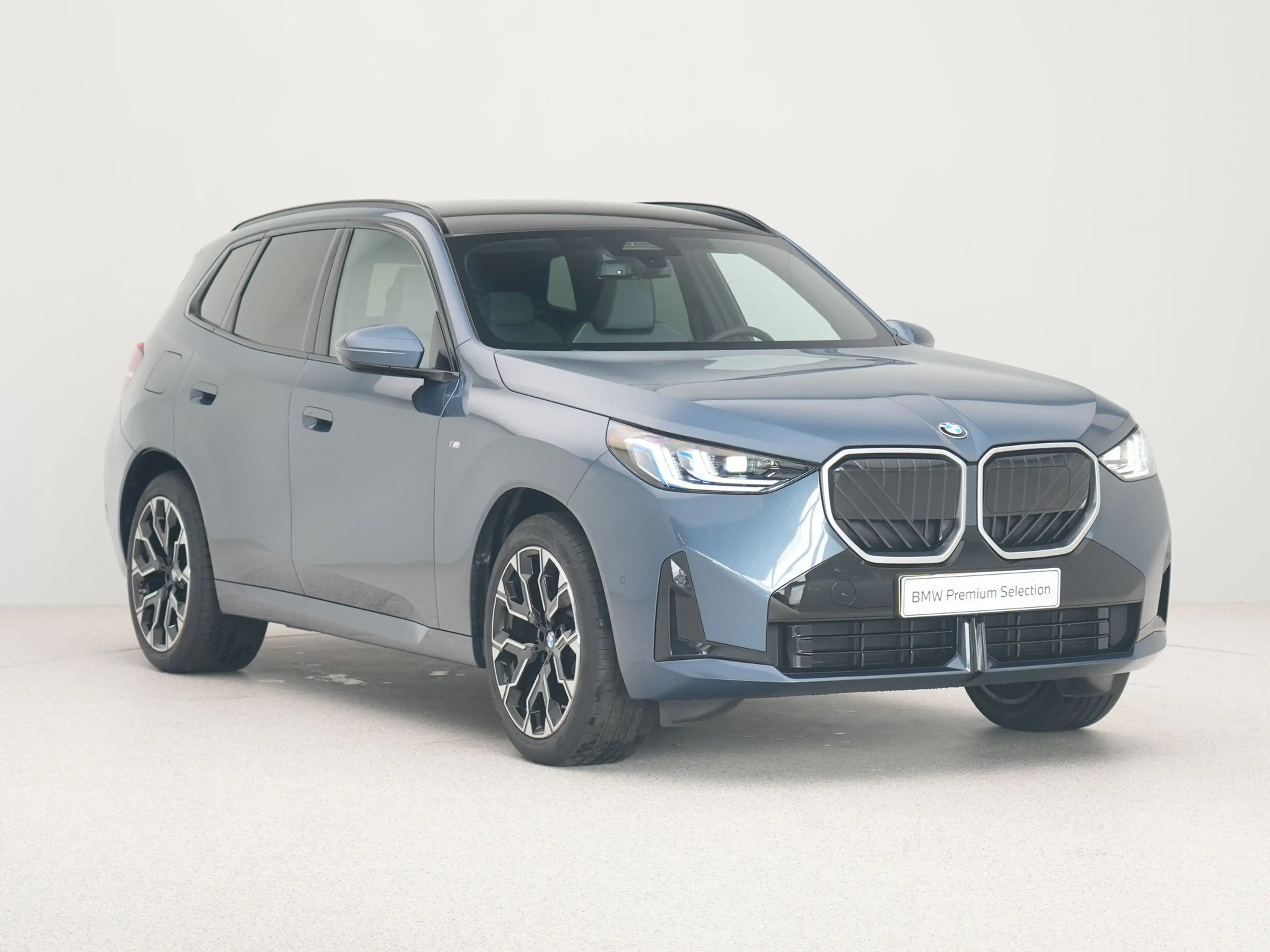 BMW X3 30e xDrive SoH 100% — photo 6