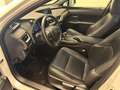 Lexus UX 250h Executive Navigation 4WD Bianco - thumbnail 9