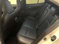 Lexus UX 250h Executive Navigation 4WD Bianco - thumbnail 10
