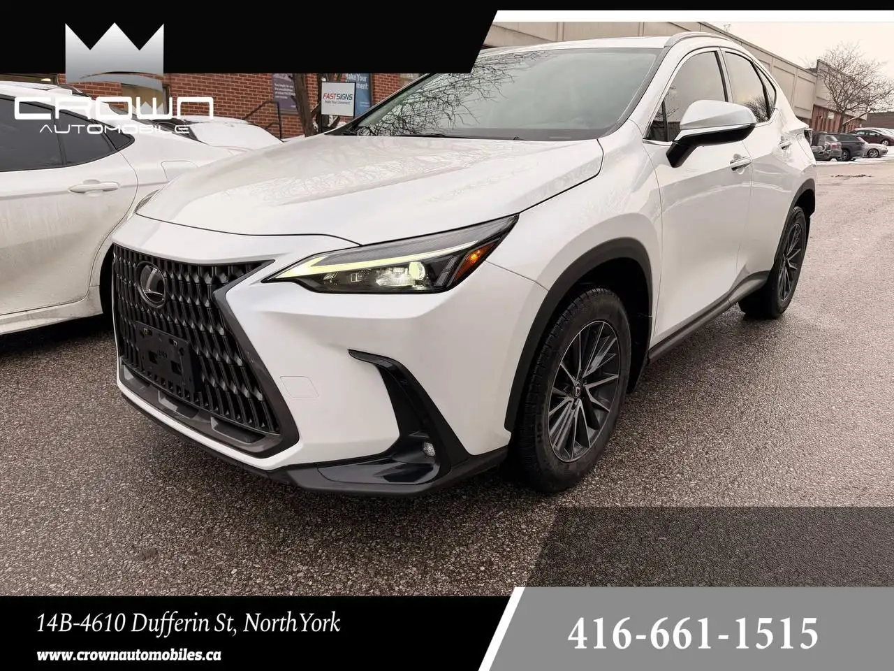 2024 Lexus NX