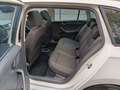 Skoda Rapid/Spaceback Rapid 1.4 CR TDI Style Bianco - thumbnail 9