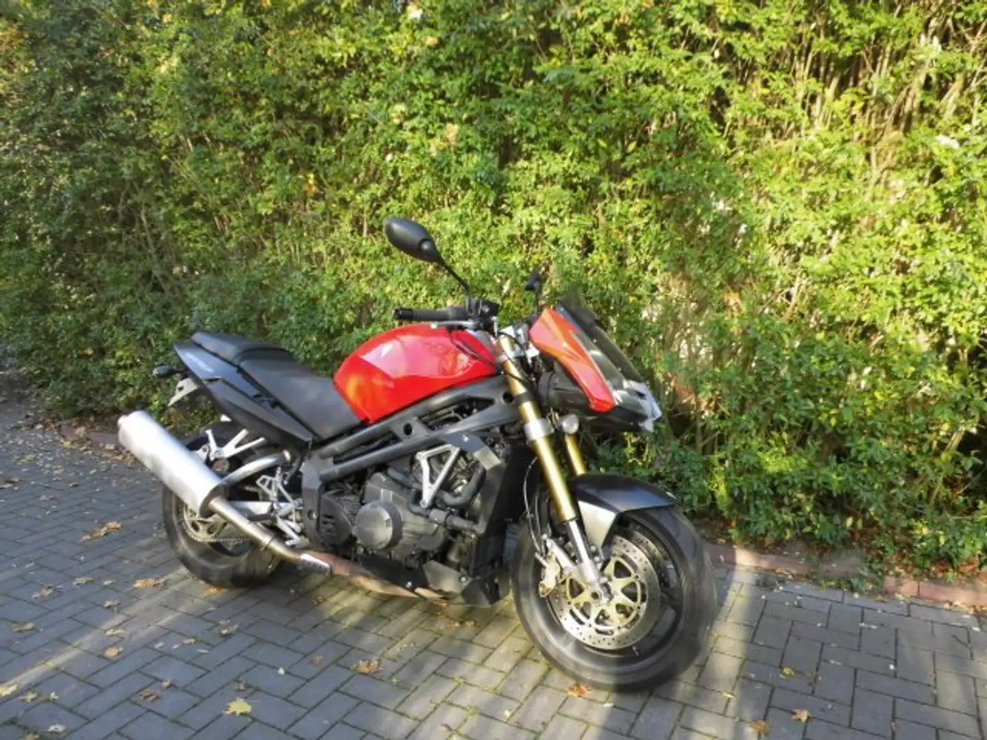 MZ 1000 SF Rood - 2