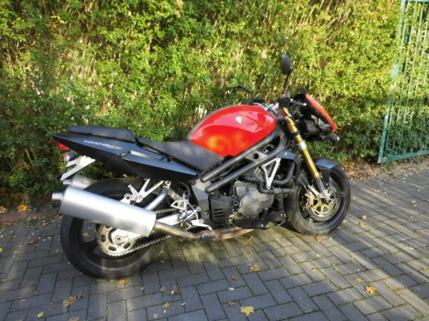 MZ 1000 SF Rood - 1