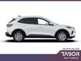 Ford Kuga 1.5 EB 186 Aut. Titanium LED SHZ Kam PDC Weiß - thumbnail 2