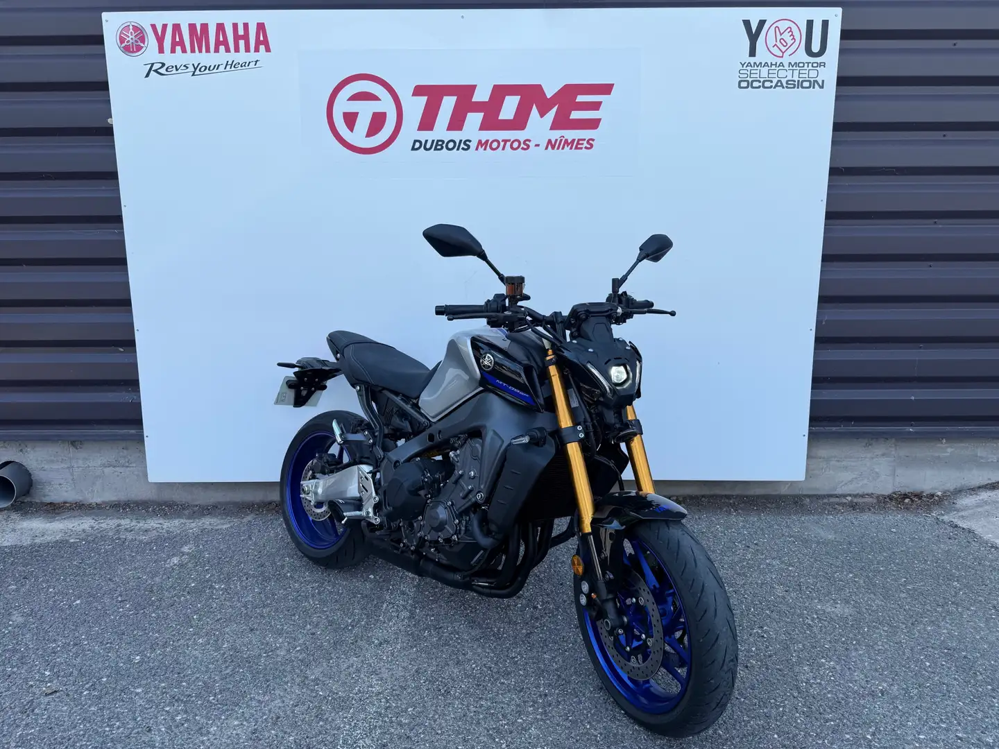 Yamaha MT-09 Argintiu - 2