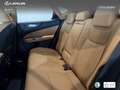 Lexus NX 450h+ Executive+ 4WD Gris - thumbnail 17