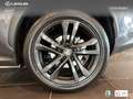 Lexus NX 450h+ Executive+ 4WD Gris - thumbnail 11