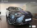 Lexus NX 450h+ Executive+ 4WD Gris - thumbnail 13