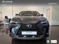 Lexus NX 450h+ Executive+ 4WD Gris - thumbnail 4