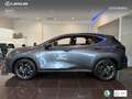 Lexus NX 450h+ Executive+ 4WD Gris - thumbnail 14