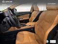 Lexus NX 450h+ Executive+ 4WD Gris - thumbnail 16