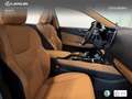 Lexus NX 450h+ Executive+ 4WD Gris - thumbnail 24