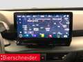 CUPRA Born 62KW NAVI REAR VIEW SHZ Silber - thumbnail 20