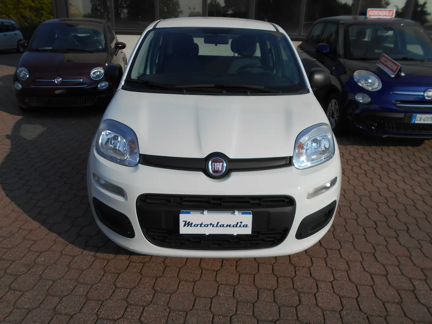 Fiat Panda 1.0 Firefly Hybrid Bianco - 1